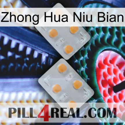 Zhong Hua Niu Bian 25